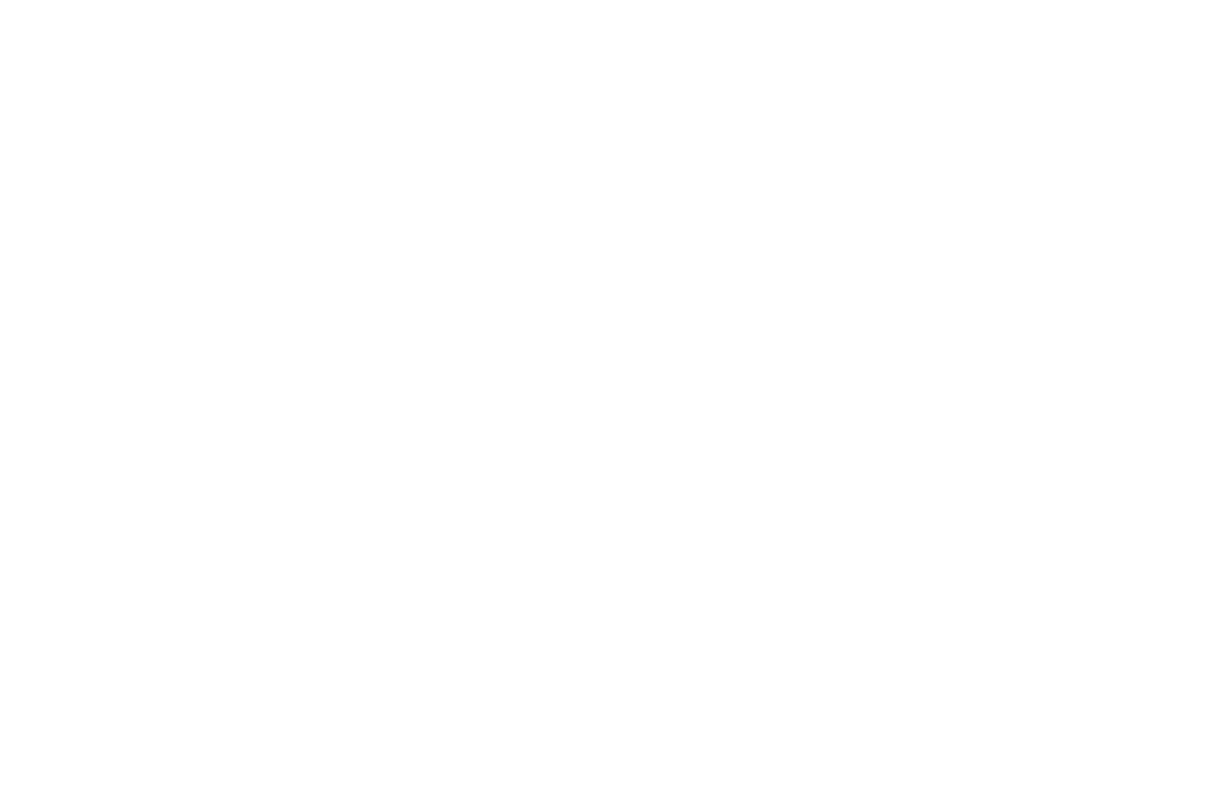 _OFFICIAL SELECTION - DisOrient Film Festival - 2019